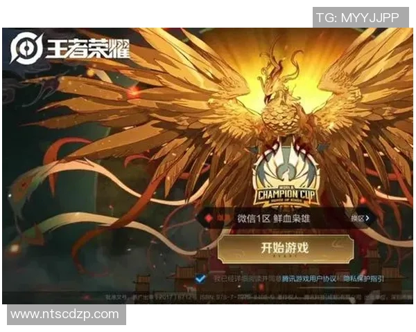 探索王者荣耀BLG战队的默契配合与战术策略揭秘